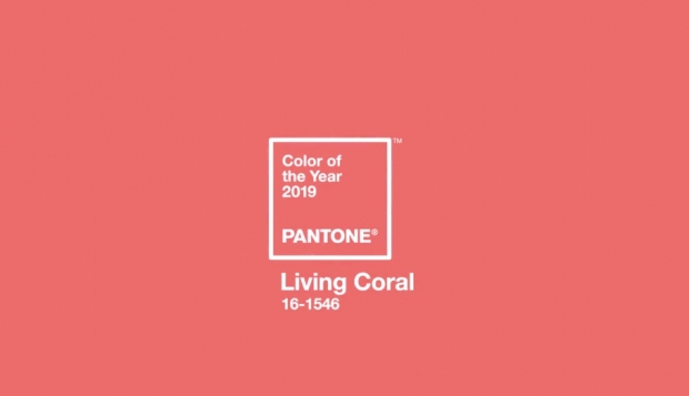 ไอเดียแต่งตัวเก๋ๆคูลๆตามสี LIVING CORAL PANTONE COLOR OF THE YEAR 2019 