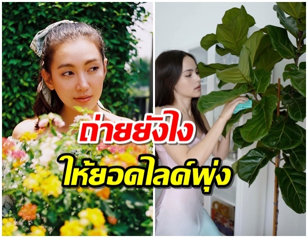 ถ่ายกับต้นไม้ ดอกไม้ ใบหญ้า เทรนด์นิยมคนดัง ใครได้ฟีลสุด